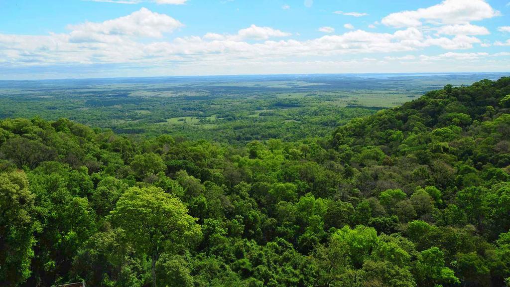 Posada Del Chaman Iguazu ปูแอร์โตอีกวาซู ภายนอก รูปภาพ
