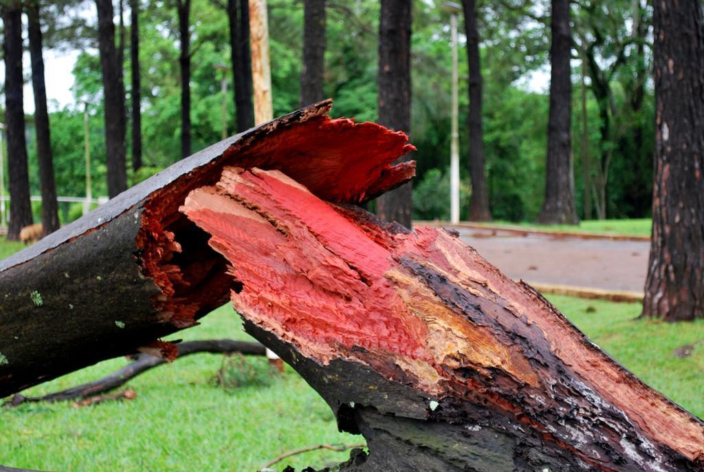 Posada Del Chaman Iguazu ปูแอร์โตอีกวาซู ภายนอก รูปภาพ